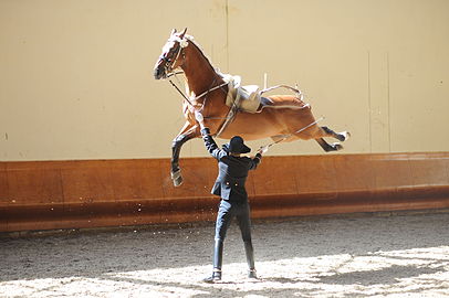 Cabriole à la main.