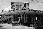 Thumbnail for File:Chicken in the Rough, Key West Florida c 1960.jpg