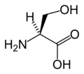 L-Serina (Ser / S)