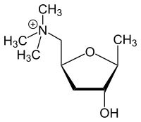 Strukturformel von L(+)-Muscarin