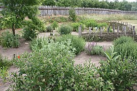 Funkenburg (Westgreußen), the herb garden.jpg