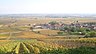 Vignoble de la côte de Beaune (déc. 2010).