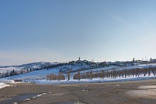 Lirio con il vestito invernale - panoramio.jpg