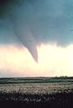 Tornado at beginning of life - condensation funnel has not yet reached ground.