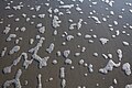 Disintegrating foam as wave retreats from sandy beach