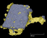 Imaxe de MEV coloreada do intercrecemento de ouro nativo e un cristal de arsenopirita.