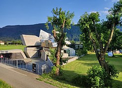 La Steinhaus de Günther Domenig derrière un arbre. Juillet 2021.