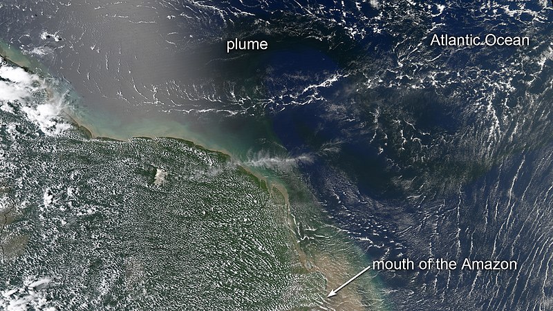 File:Algal blooms at the mouth of the Amazon River.jpg