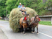 Mara Valley - near Maramures - Romania.jpg