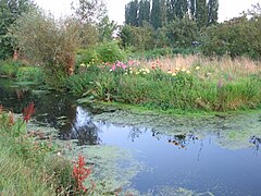 Hortillonnages