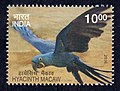 Hyacinth macaw, India Post 2016