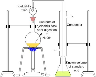 Kjeldahl distillation