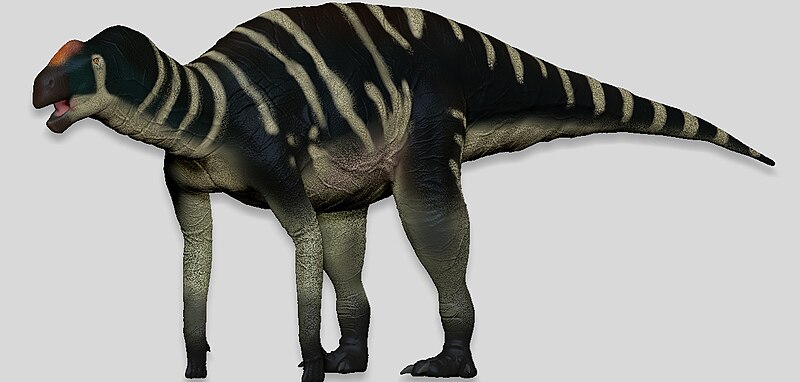 File:Kritosaurus navajovius.jpg