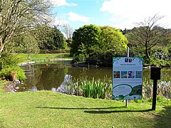 Lake, Belfast Zoo - geograph.org.uk - 1848127.jpg