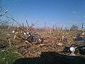 Image 18Tornado damage in Phil Campbell following the statewide April 27, 2011, tornado outbreak (from Alabama)