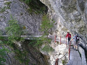 Le bisse du Ro.