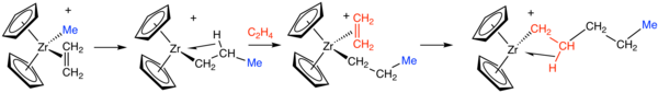 Vereinfachter Mechanismus der Ethylenpolymerisation