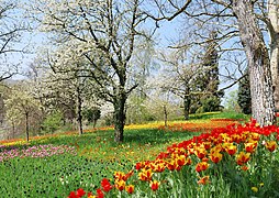 The Spring path at the island of Mainau, Baden-Württemberg