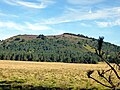 Le Puy des Gouttes (1 134m)