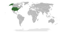 Lokasyon na United States