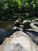 Old dam on Bosut in Trbušanci.jpg