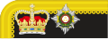 1867 to 1880 colonel's collar rank insignia