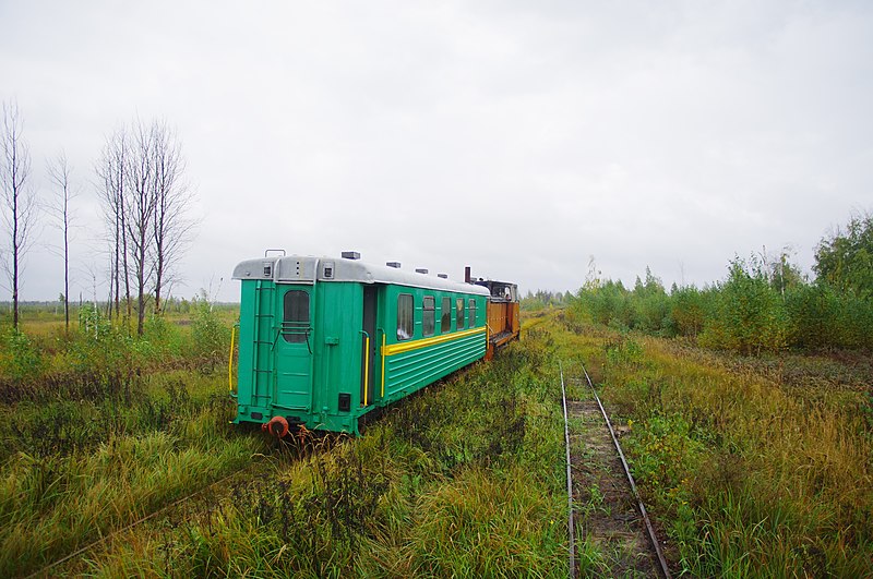 File:Gus-Khrustalny District, Vladimir Oblast, Russia - panoramio (25).jpg