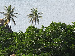 Virgin Gorda, British Virgin Islands - panoramio (75).jpg