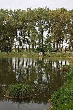 Břevská rákosina s rybníčkem a ostřicí latnatou