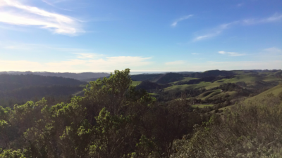 Hills—grassy, wooded, or chaparral-coated—lay between La Honda and the Pacific. From here, only a few buildings on the Northern end of town are visible.