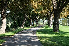 Avenue in Malchin 2022-09-08 02.jpg