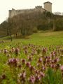 La Rocca Borromeo in primavera