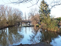 Mündung in die Weiße Elster