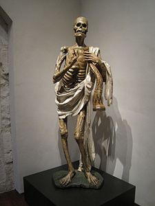 Gil de Ronza, Muerte, 1522