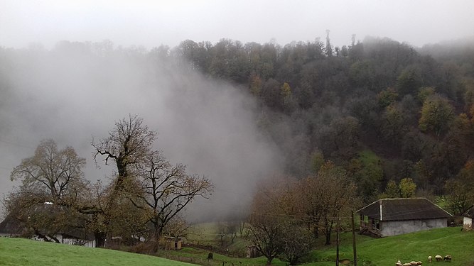 View of Hirkan National Park. Photograph: Elvin Samadov