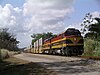 A double-stack container train of the Panama Canal Railway in 2007