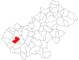 Location in Satu Mare County