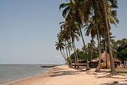 Sable fin et cocotiers : une plage de l'île de Karabane.