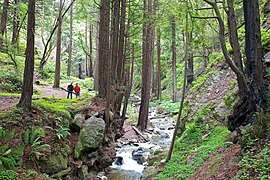 Limekiln State Park