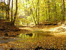 The Chagrin River as viewed from the South Chagrin Reservation.