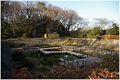 水生植物園