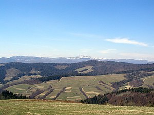 Краєвид із Верецького перевалу