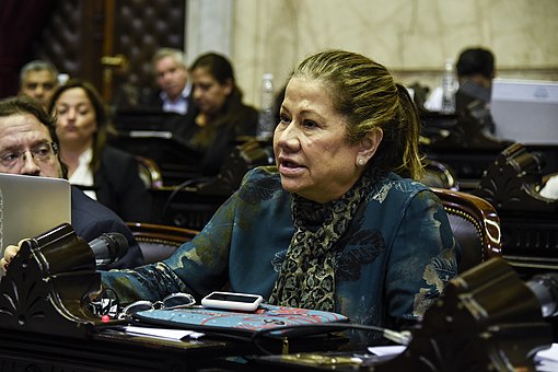 Debate de la ley de Emergencia Alimentaria en Diputados 21.jpg