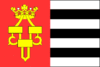 Vlag van Drachten