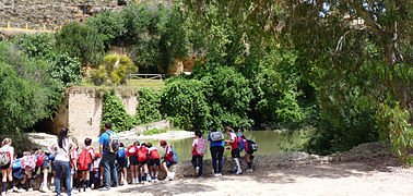 Molino de río a la altura de Alcalá de Guadaíra