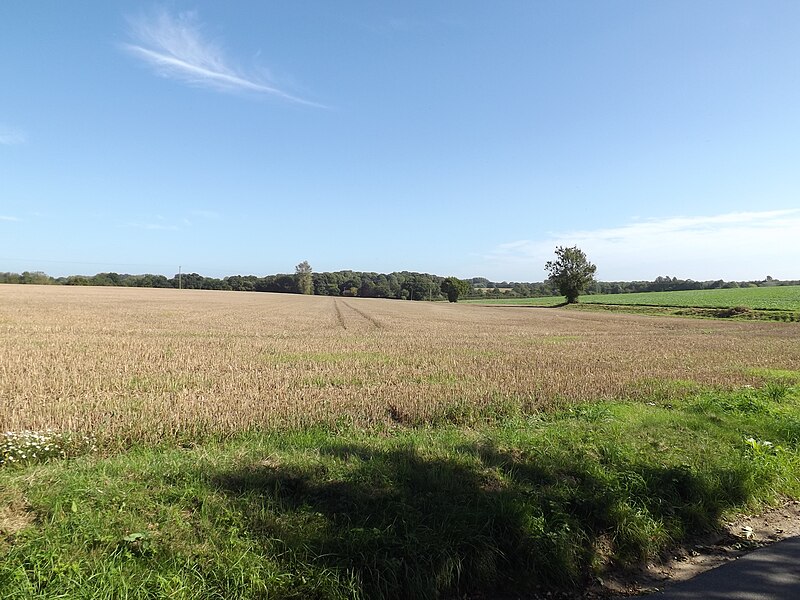 File:Farmland off Kerdiston Road - geograph.org.uk - 5171403.jpg