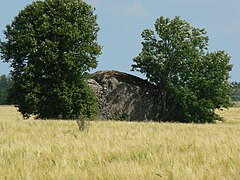 Glacial erratics on Kupu, Estonia