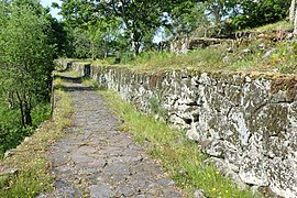 Rua na citânia de Briteiros.