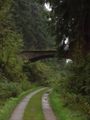 Wanderweg auf der Strecke der früheren Innerstetalbahn im Harz