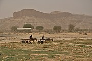 Dallol Bosso